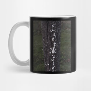 Hand Fungus Mug